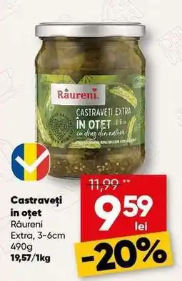 PROFI Castraveți în oțet Ofertă