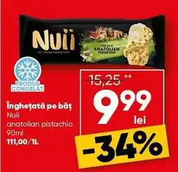 PROFI Nuii Anatolian Pistachio Ice Cream Ofertă