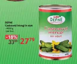 Selgros DEFNE Castraveți întregi în oțet Ofertă
