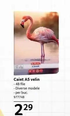 Selgros Caiet A5 velin Ofertă