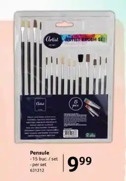 Selgros Pensule Ofertă