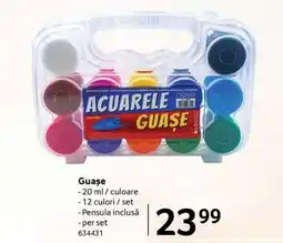 Selgros Guașe Ofertă