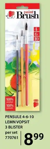 Selgros PENSULE 4-6-10 LEMN VOPSIT Ofertă