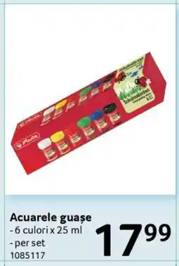 Selgros Acuarele guașe Ofertă