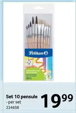 Selgros Set 10 pensule Ofertă