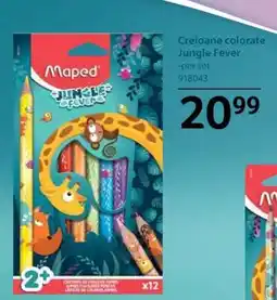 Selgros Creioane colorate Jungle Fever Ofertă