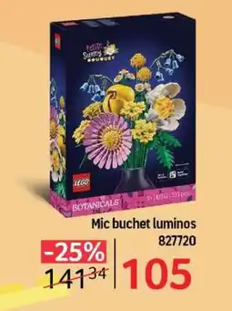 Selgros Mic buchet luminos Ofertă