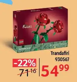 Selgros Trandafiri Ofertă