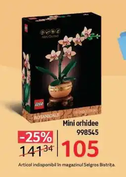 Selgros Mini orhidee Ofertă