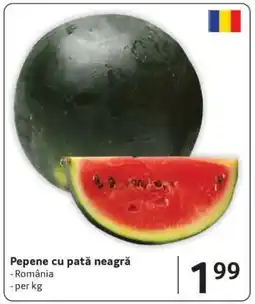Selgros Pepene cu pată neagră Ofertă