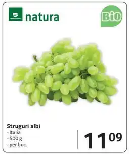 Selgros Struguri albi Ofertă