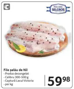 Selgros File Șalău de Nil Ofertă