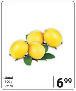 Selgros Lămâi Ofertă
