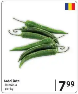 Selgros Ardei iute Ofertă