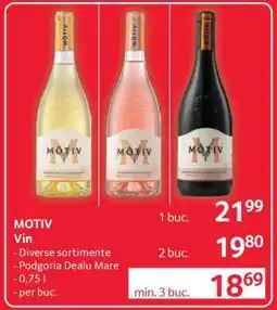 Selgros MOTIV Vin Ofertă