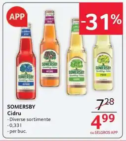 Selgros Somersby Cidru Ofertă