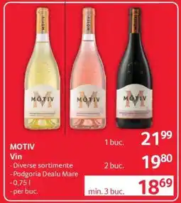 Selgros MOTIV Vin Ofertă