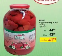 Selgros DEFNE Gogoșari bucăți în oțet Ofertă