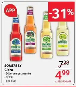 Selgros Somersby Cidru Ofertă