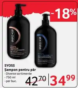 Selgros SYOSS Ofertă