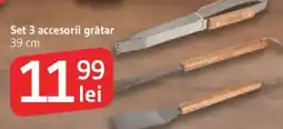 Supeco Set 3 accesorii grătar Ofertă