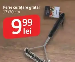 Supeco Perie curăţare grătar Ofertă