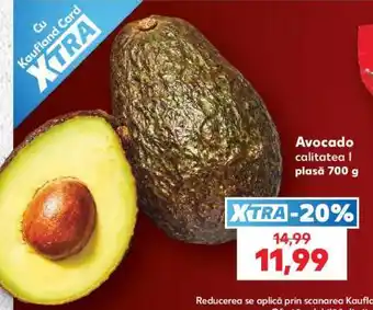 Kaufland Avocado Ofertă