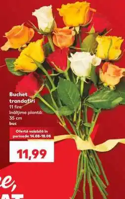 Kaufland Buchet trandafiri Ofertă
