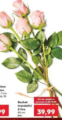 Kaufland Buchet trandafiri Ofertă