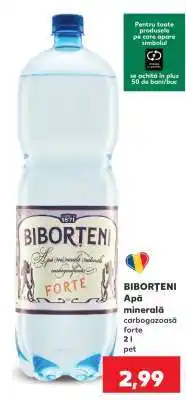 Biborțeni Apă minerală carbogazoasă Forte