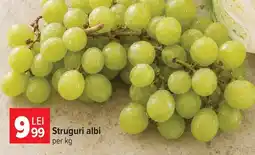 Carrefour Market Struguri albi Ofertă