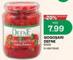 Diana Supermarket Gogosari Defne Ofertă