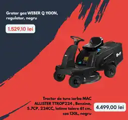 Brico Depôt Weber q 1100n Ofertă