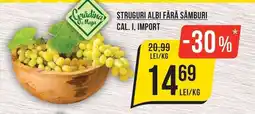 Mega Image Grădina Mega struguri albi fără sâmburi Ofertă