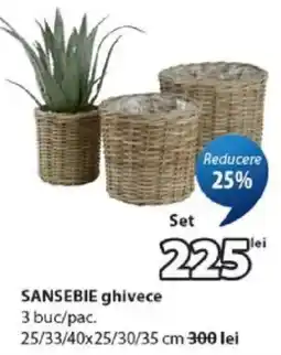 JYSK Sansebie ghivece Ofertă