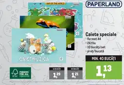 Metro Paperland Caiete speciale Ofertă