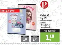 Metro P caiet a5 tip i/ii Ofertă