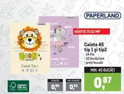 Metro Paperland caiete a5 tip 1 si tip2 Ofertă