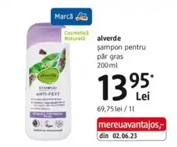 DM Alverde șampon pentru păr gras Ofertă