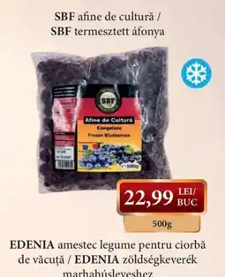 CBA SBF afine de cultură Ofertă