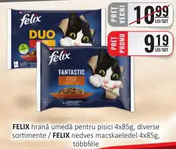 CBA Felix hrană umedă pentru pisici Ofertă