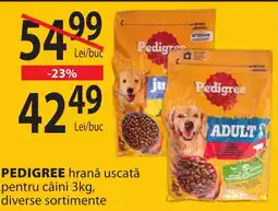 CBA Pedigree hrană uscată Ofertă