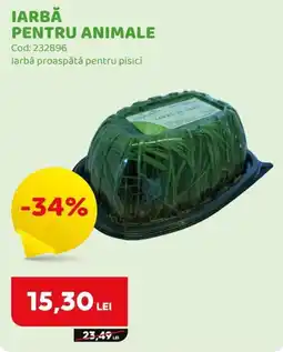 Animax Iarbă pentru animale Ofertă
