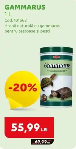 Animax Gammarus Ofertă