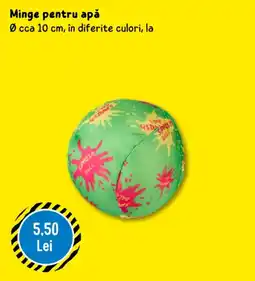 TEDI Minge pentru apă Ofertă