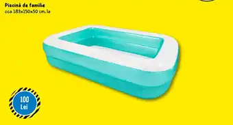 Piscină de familie