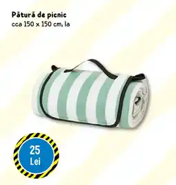 TEDI Pătură de picnic Ofertă