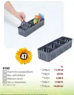 BetterStyle Vas cu separatoare Ofertă