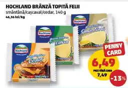 Penny HOCHLAND Brânză topită felii Ofertă