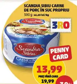 Penny SCANDIA SIBIU Carne de porc în suc propriu Ofertă